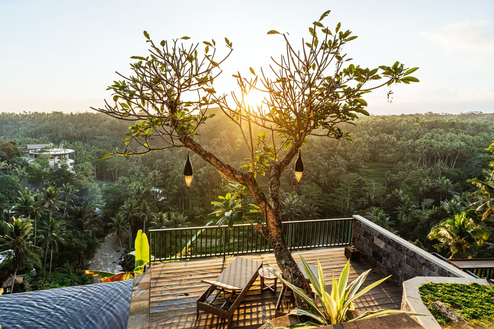 Sunset View of Peaceful Tropical Rice field Landscape near Ubud,  Bali, Indonesia